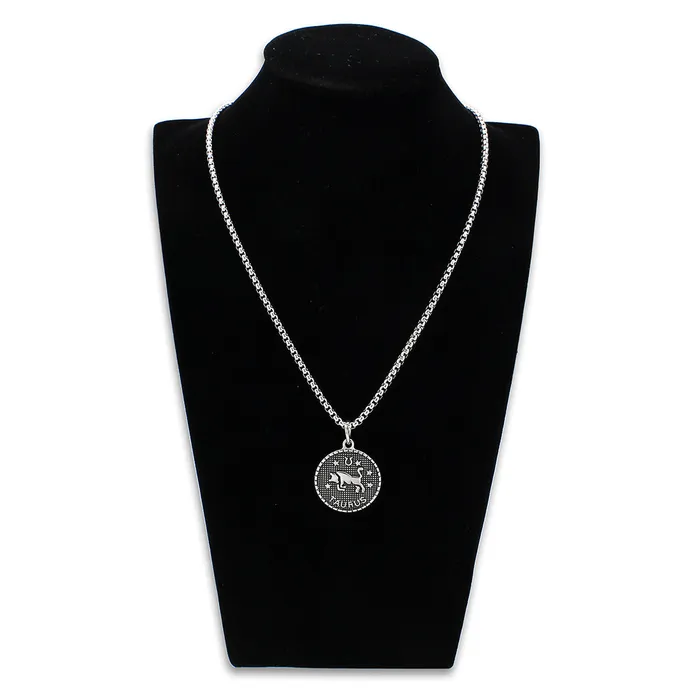 Necklaces TK3928 High polished no plating Stainless Steel Chain Pendant with NoStone in No Stone Alamode